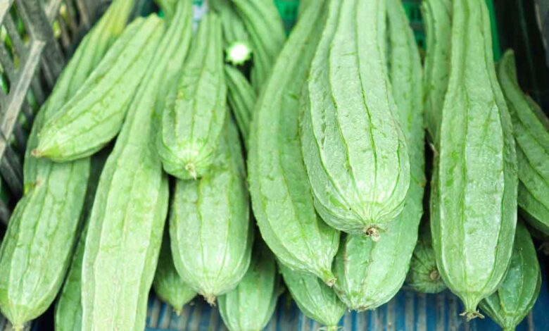 These people should not eat Ridge gourd vegetable, know these 9 disadvantages