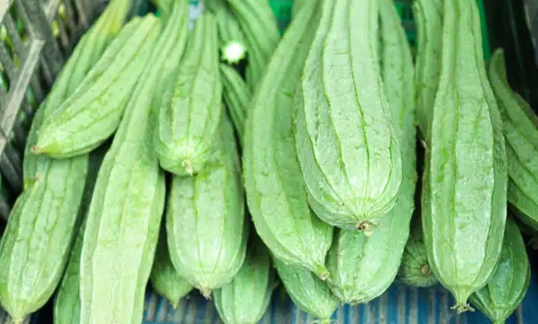 These people should not eat Ridge gourd vegetable, know these 9 disadvantages