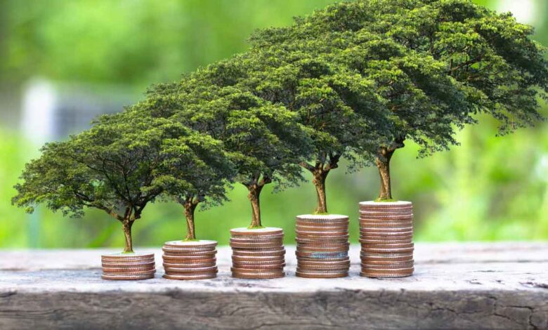 This mistake related to Money Plant will prove costly, prosperity will go away from the house