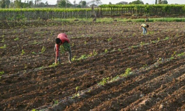 Tripura gov approves Rs 22 cr for farmers affected by cyclone Midhili