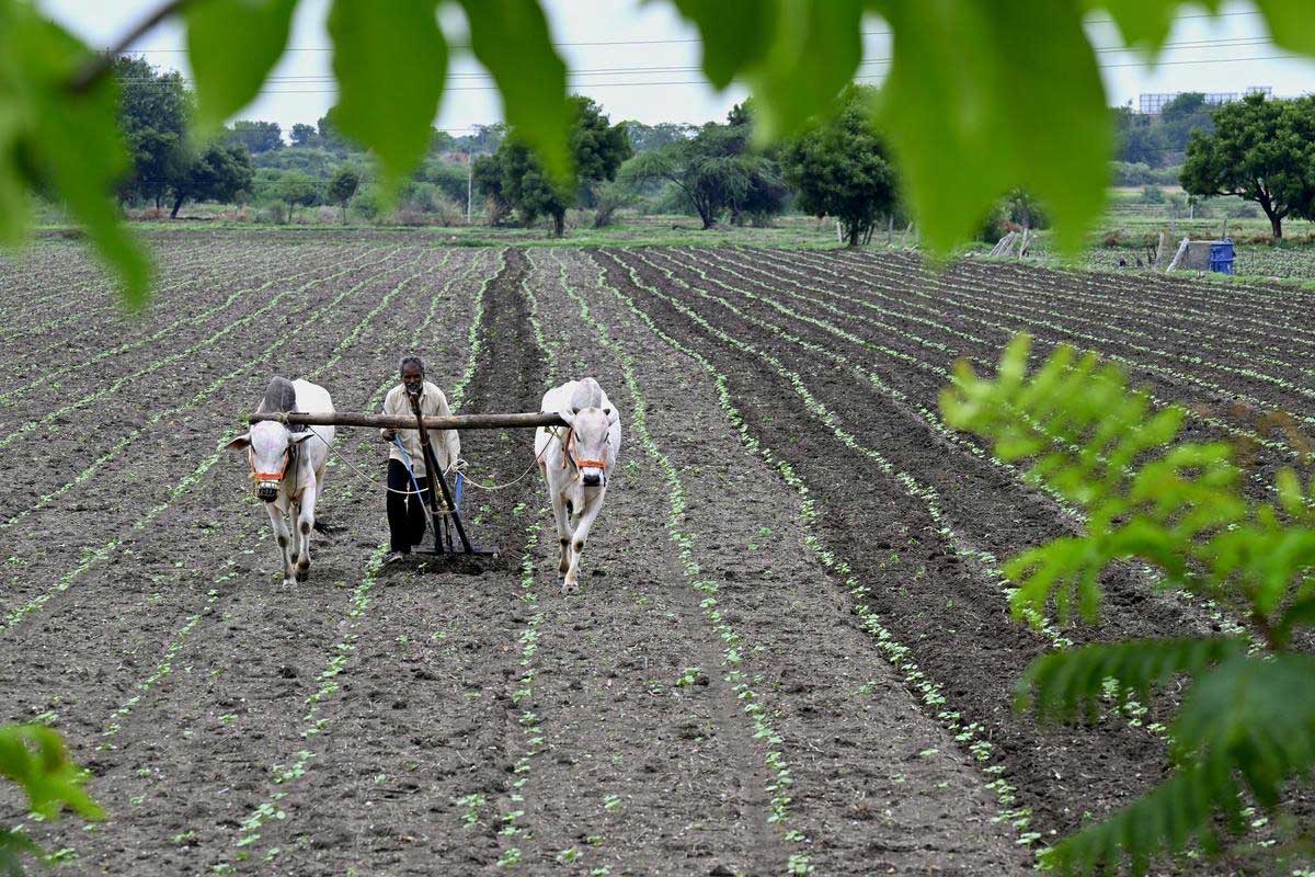 Union Budget 2024 includes employment agricultural productivity and manufacturing