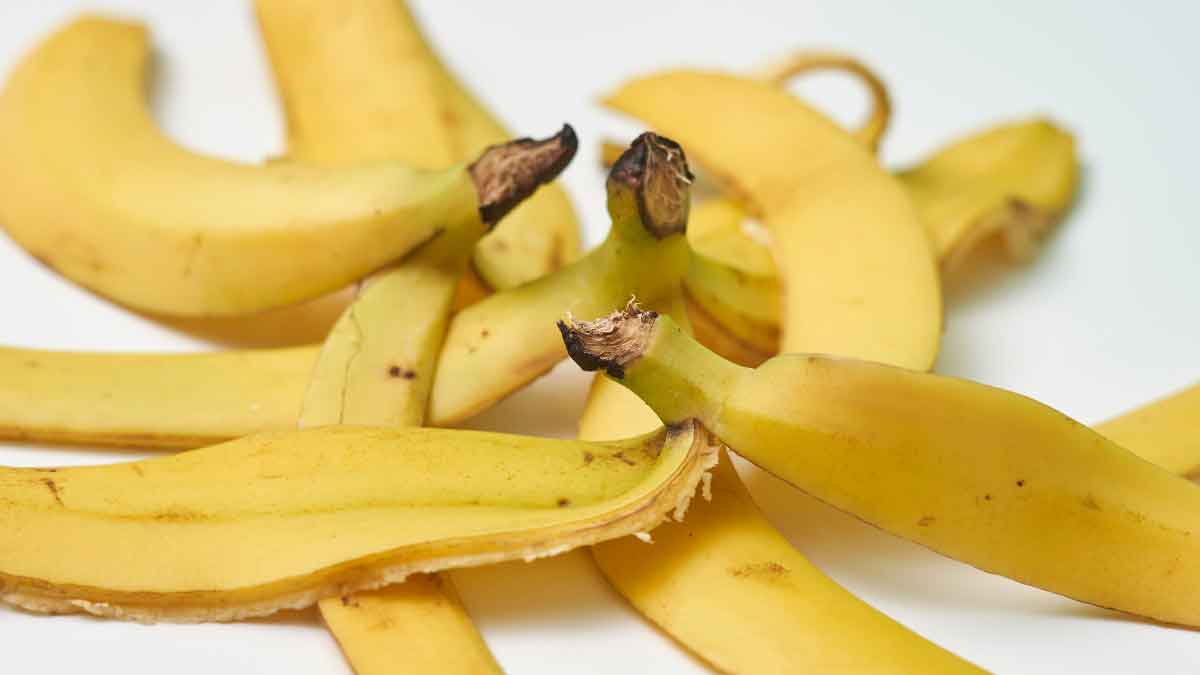 Various uses of banana peels - Banana peels are not only useful in enhancing the face but also in these things