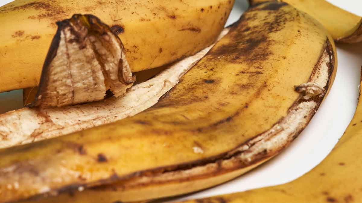 Various uses of banana peels - Banana peels are not only useful in enhancing the face but also in these things