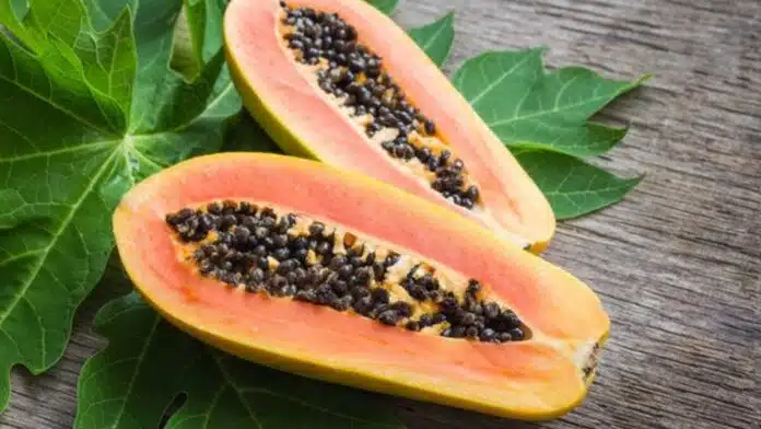 What happens if you eat papaya everyday