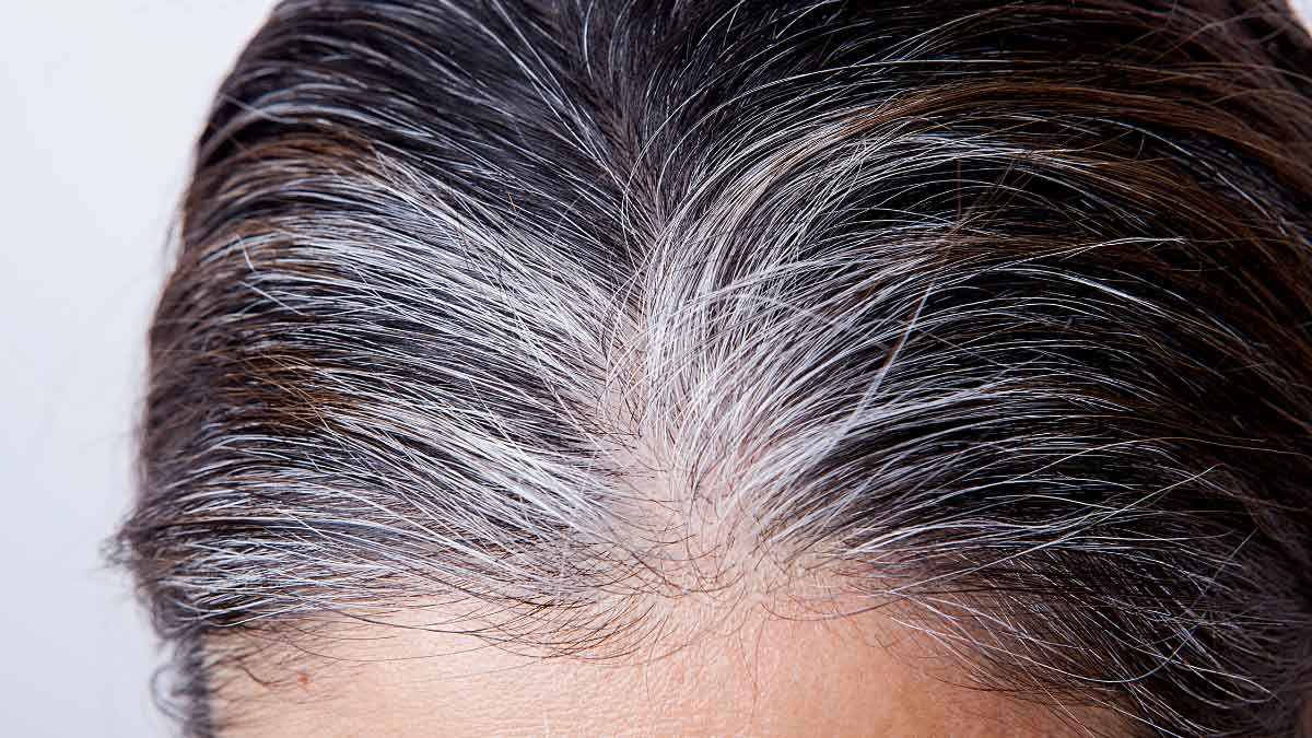 White hair will turn black from the roots, there will be no need to dye hair for months