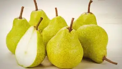 You must eat Pear during Monday fast, know its benefits