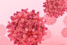 37 cases of Chandipura virus reported in Gujarat