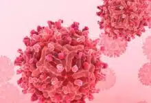 37 cases of Chandipura virus reported in Gujarat