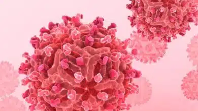 37 cases of Chandipura virus reported in Gujarat