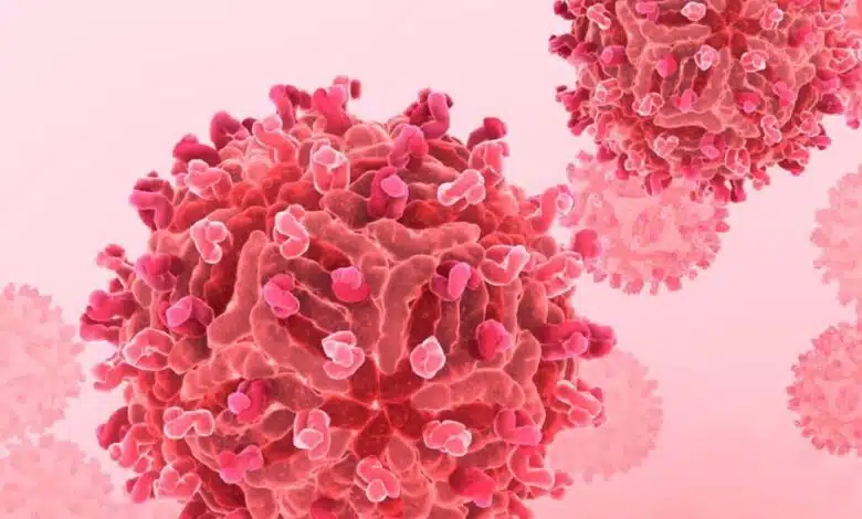 37 cases of Chandipura virus reported in Gujarat