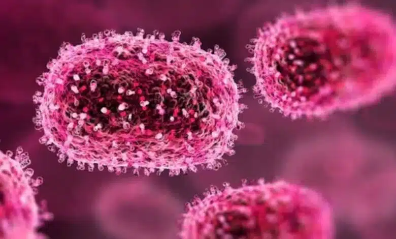 140 cases of AES reported in Gujarat