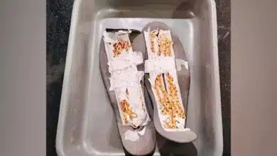 AIU seized gold worth 30 lakhs at Kochi Airport