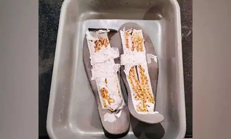 AIU seized gold worth 30 lakhs at Kochi Airport