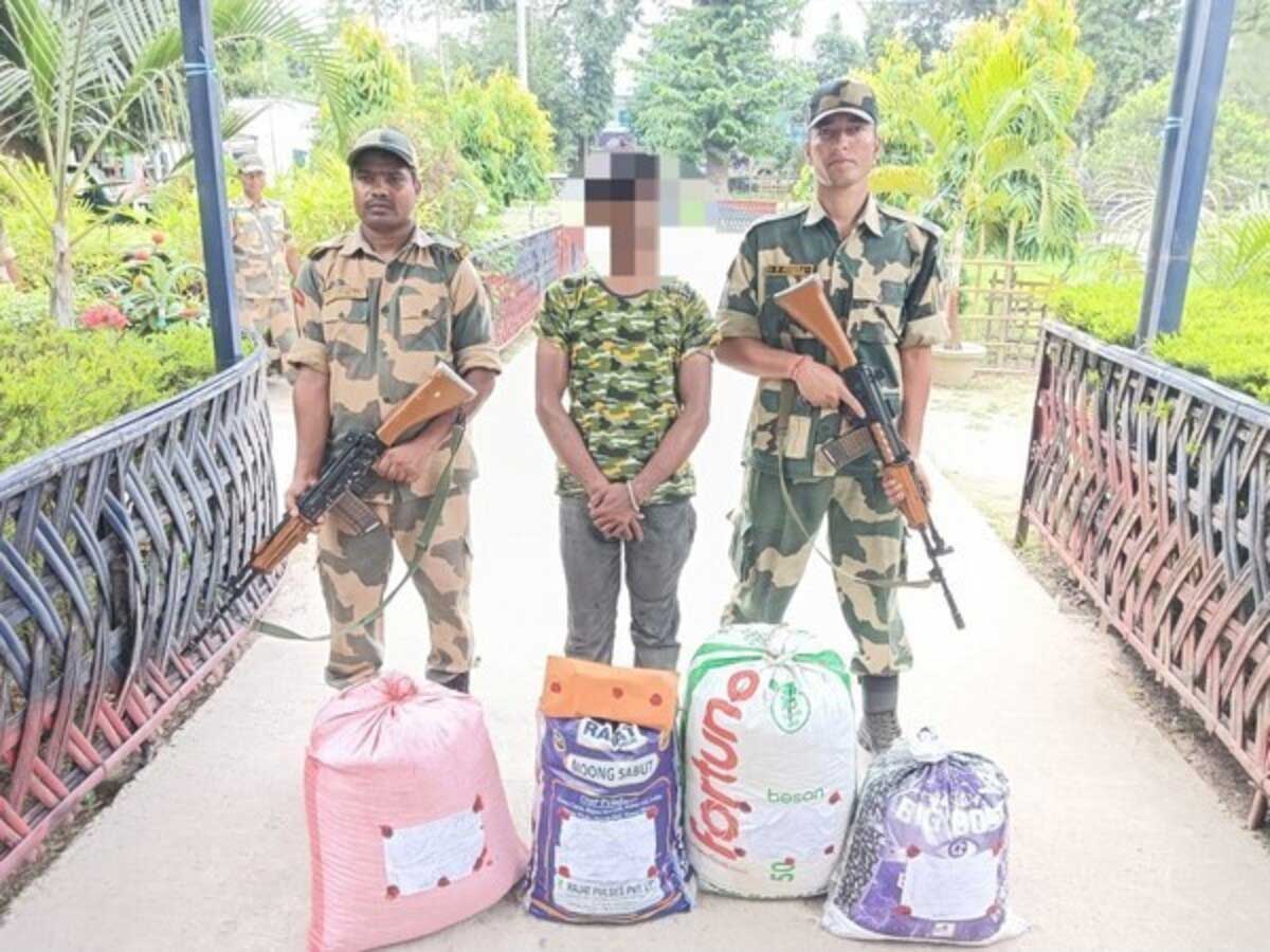 BSF arrested smuggler with 40 kg ganja and 150 bottles of banned cough syrup In West Bengal