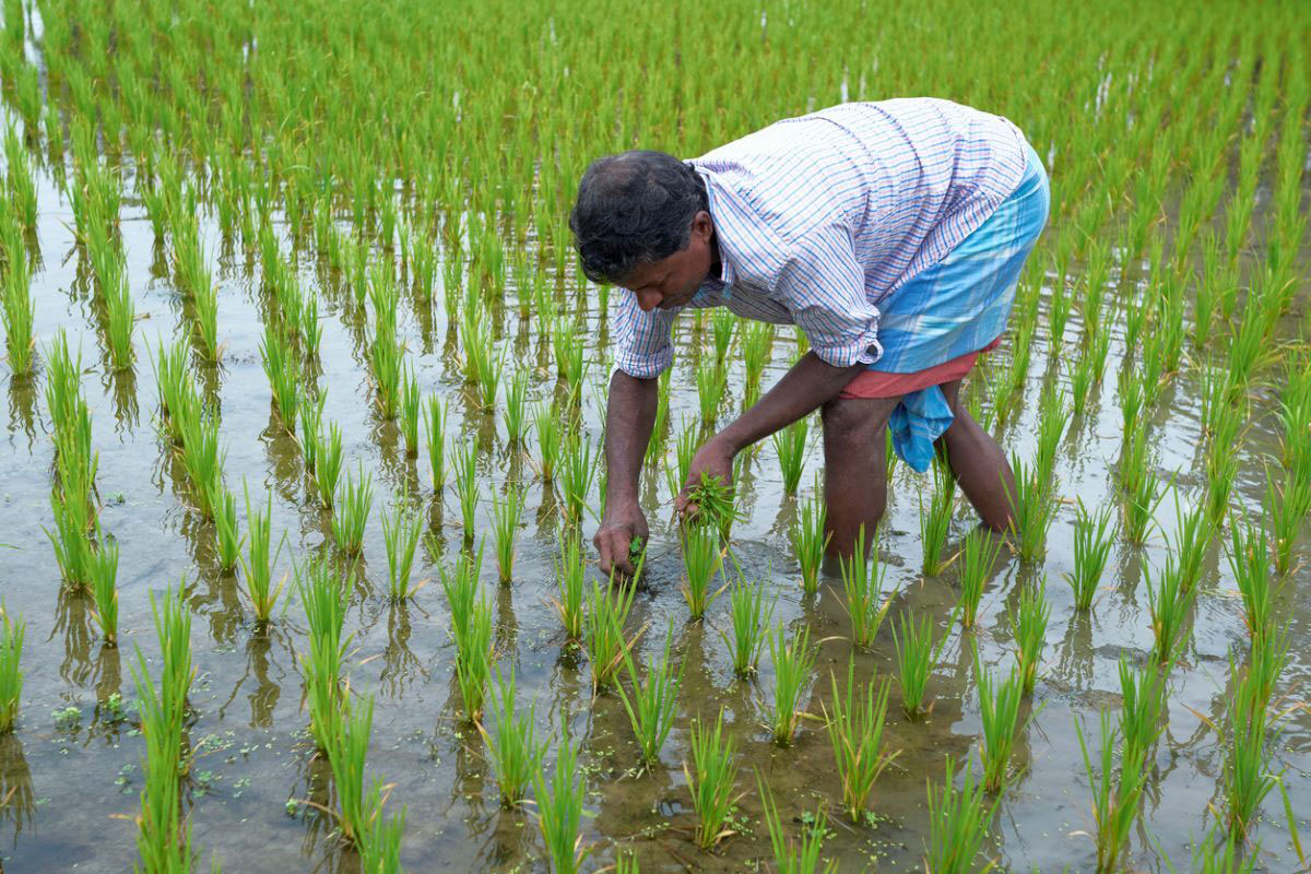 Dang of Gujarat was declared a district with complete natural farming