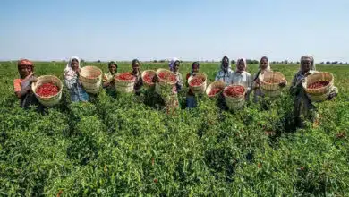 Dang of Gujarat was declared a district with complete natural farming