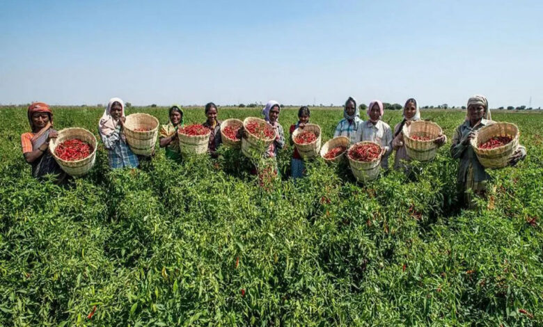 Dang of Gujarat was declared a district with complete natural farming