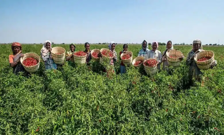 Dang of Gujarat was declared a district with complete natural farming