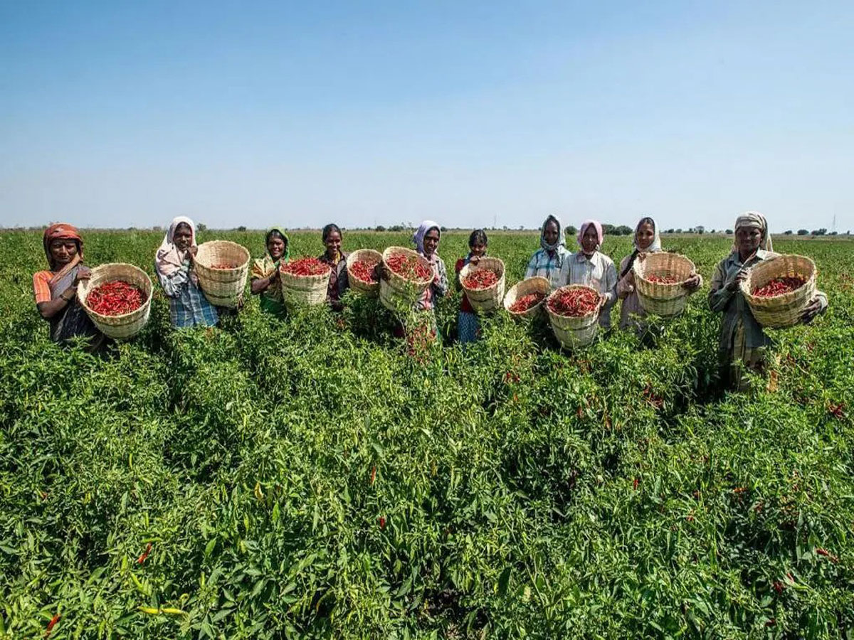 Dang of Gujarat was declared a district with complete natural farming