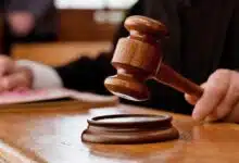 Delhi HC seeks report from forest dept on felling of trees near monument Mazar e Ghalib in Nizamuddin area