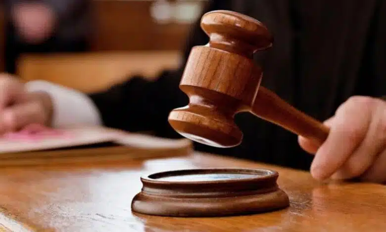 Delhi HC seeks report from forest dept on felling of trees near monument Mazar e Ghalib in Nizamuddin area