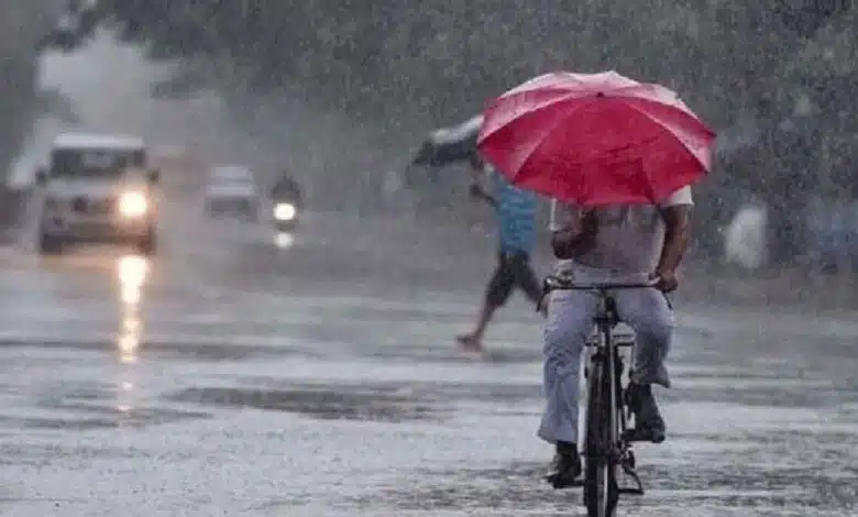 Delhi Weather Yellow alert for rain again today and strong winds likely