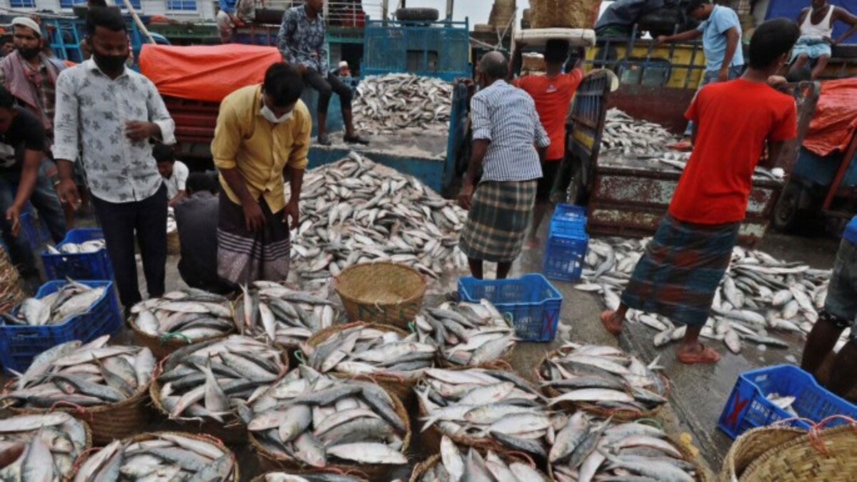 Fish sales in Howrah fish market affected in Bangladesh