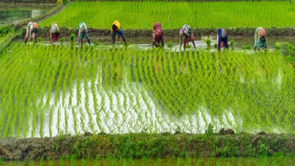 For farmers, a farm is no less than a bank