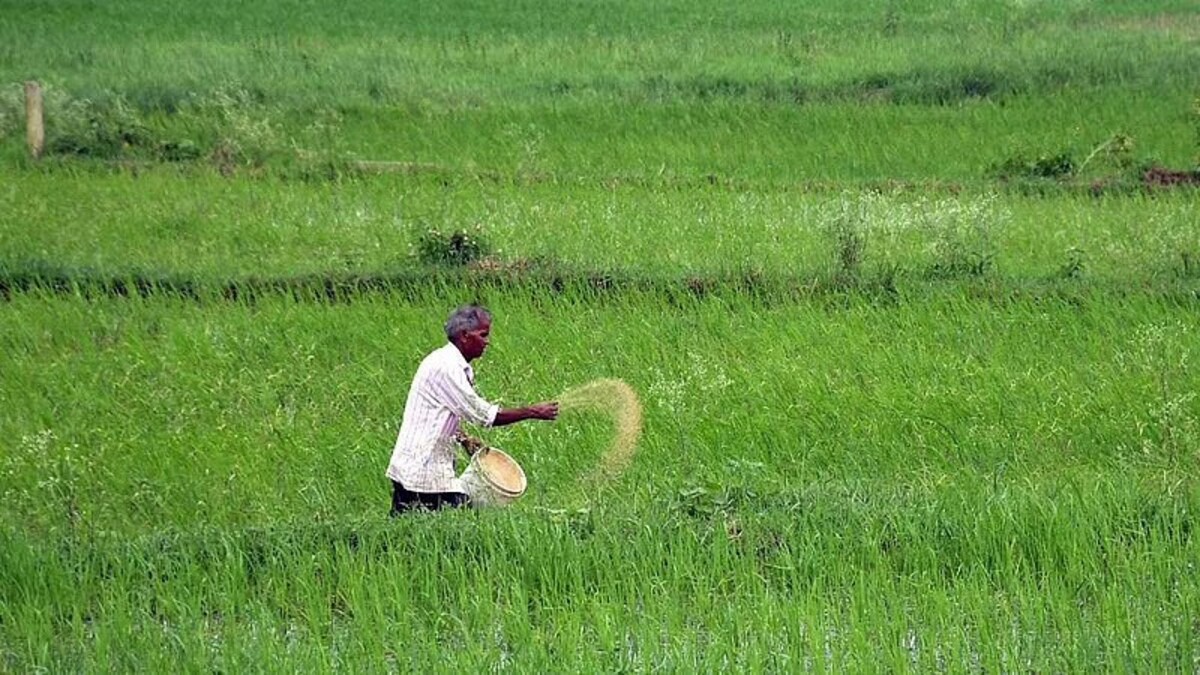 For farmers, a farm is no less than a bank