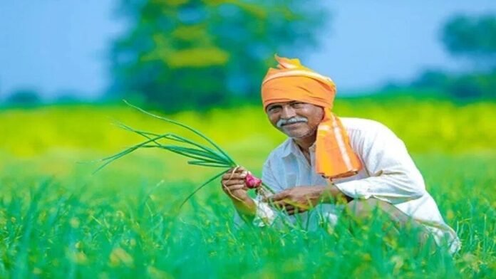 For farmers, a farm is no less than a bank