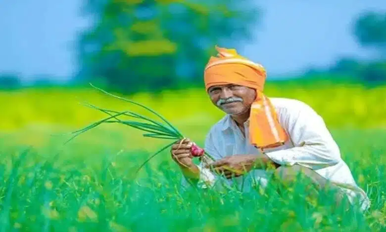 For farmers, a farm is no less than a bank