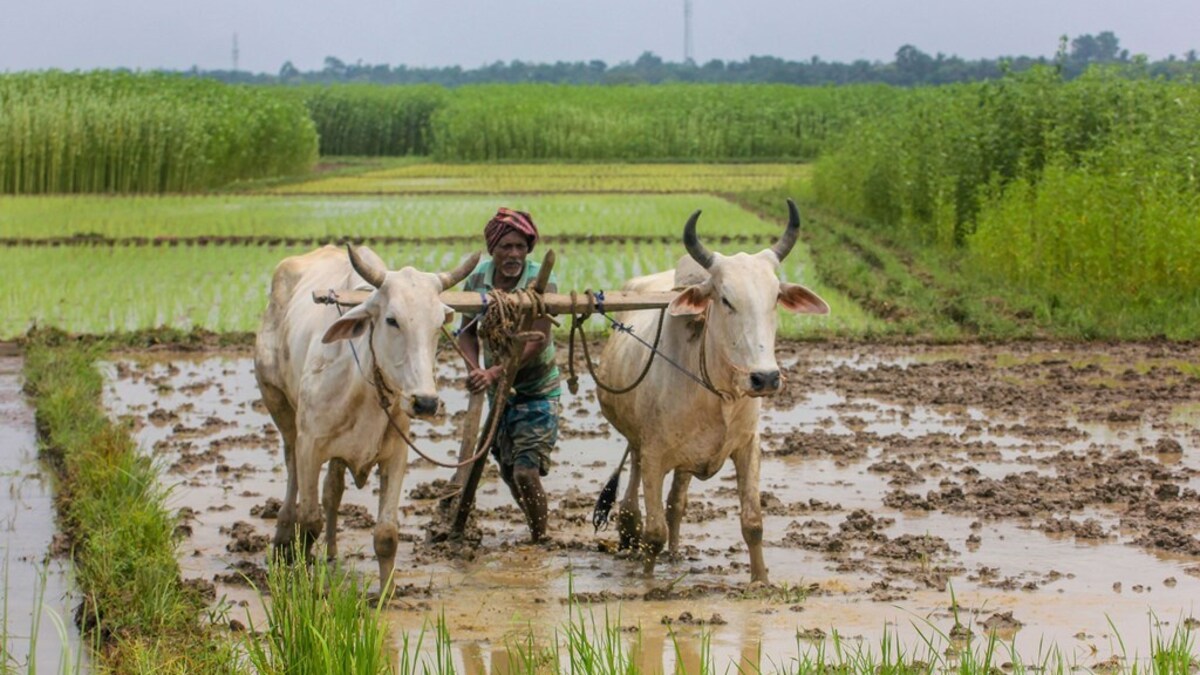 For farmers, a farm is no less than a bank