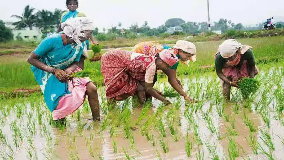 For farmers, a farm is no less than a bank