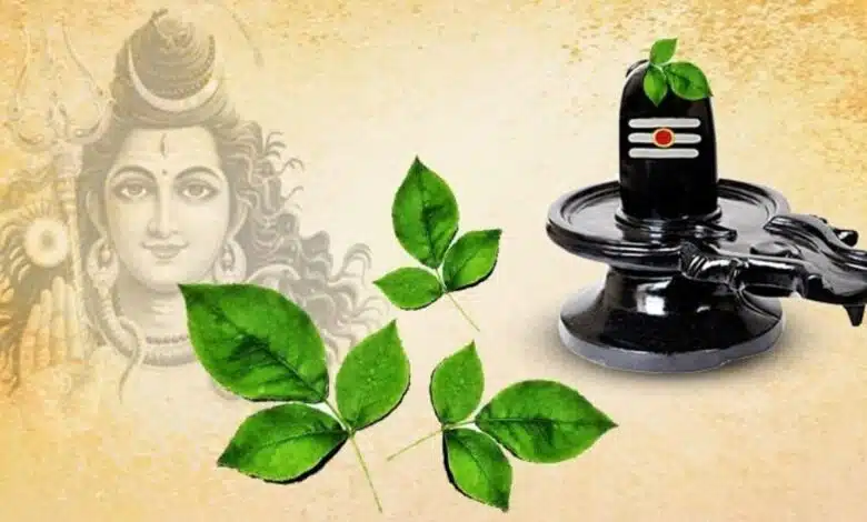 How should Belpatra leaf be offered on Shivling