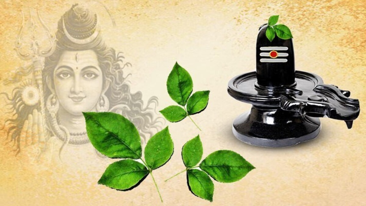 How should Belpatra leaf be offered on Shivling