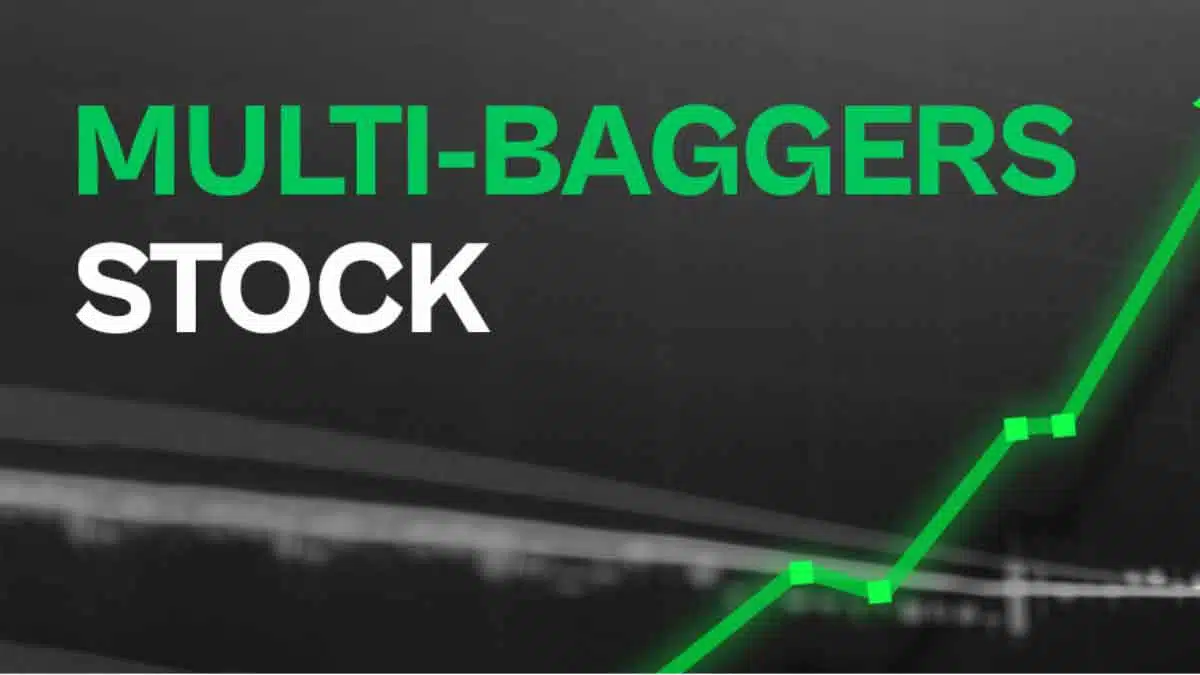 Multibagger Stock ₹1 lakh became ₹76 lakh, the stock gave 7530% return in 4 years