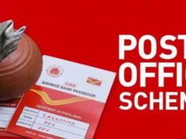 Post Office Scheme New Rule These 6 new rules will be applicable for PPF, SSY schemes from October 1