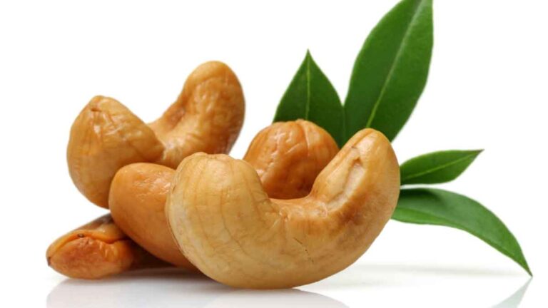 Cashew: भारत की एकमात्र वो जगह, जहां टमाटर से भी सस्ते मिलते हैं काजू