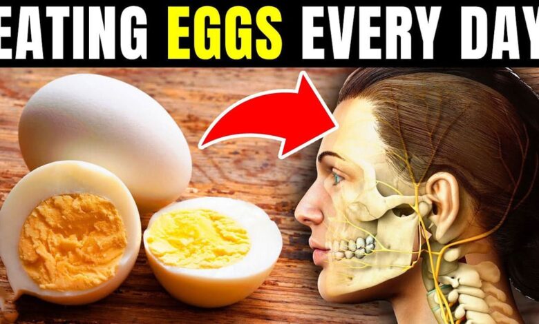 What effect does eating eggs every day have on your body