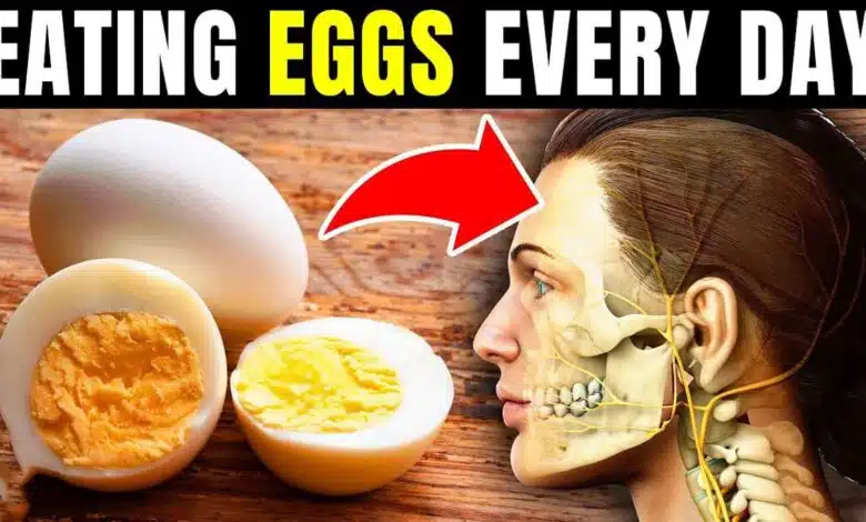 What effect does eating eggs every day have on your body