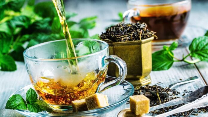 When should one drink green tea to lose weight