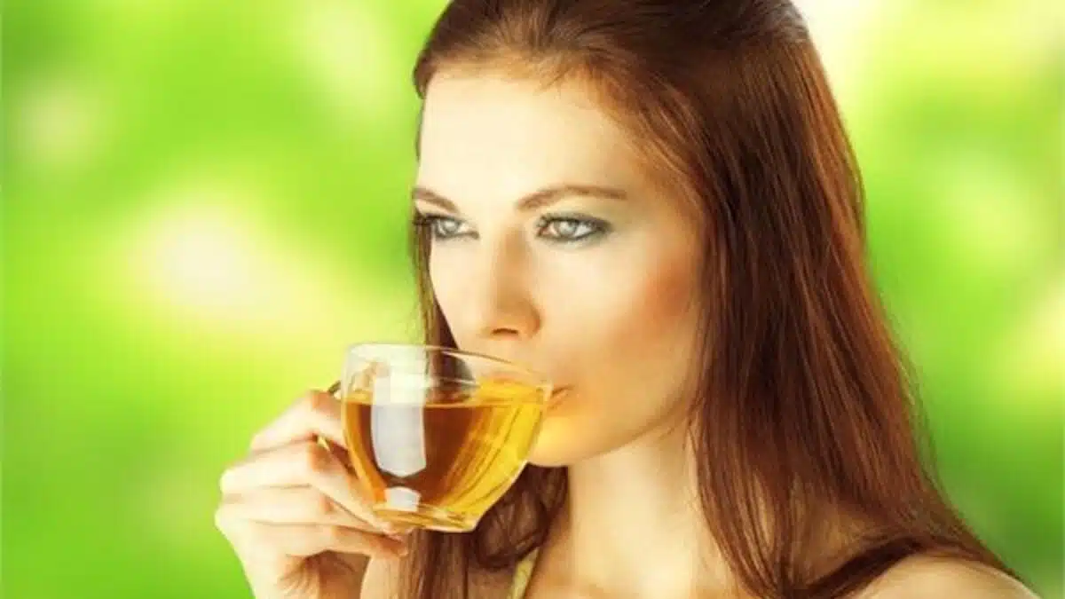 When should one drink green tea to lose weight