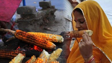 Which diseases are prevented by eating corn in the rain