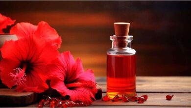 benefits of applying hibiscus oil to hair 4