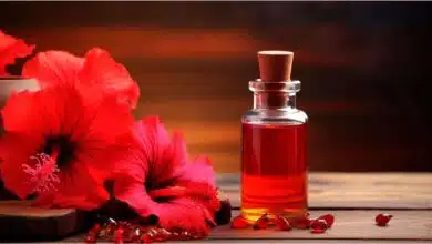 benefits of applying hibiscus oil to hair 4