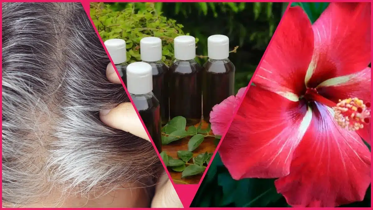 benefits of applying hibiscus oil to hair  