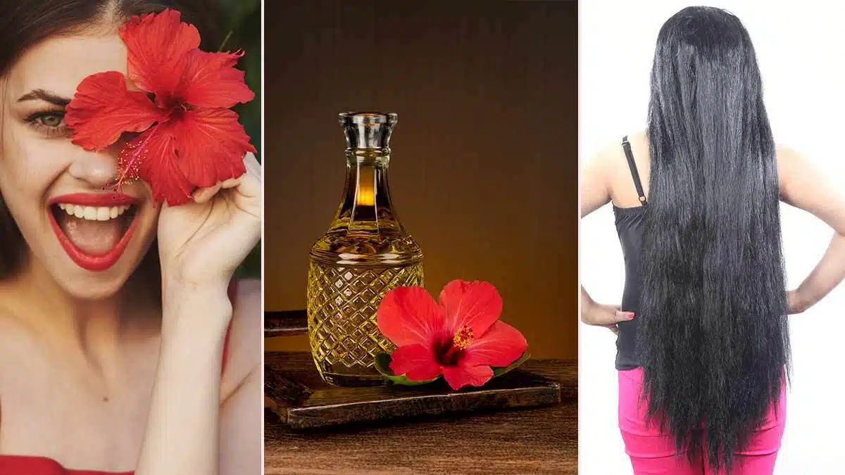 benefits of applying hibiscus oil to hair  