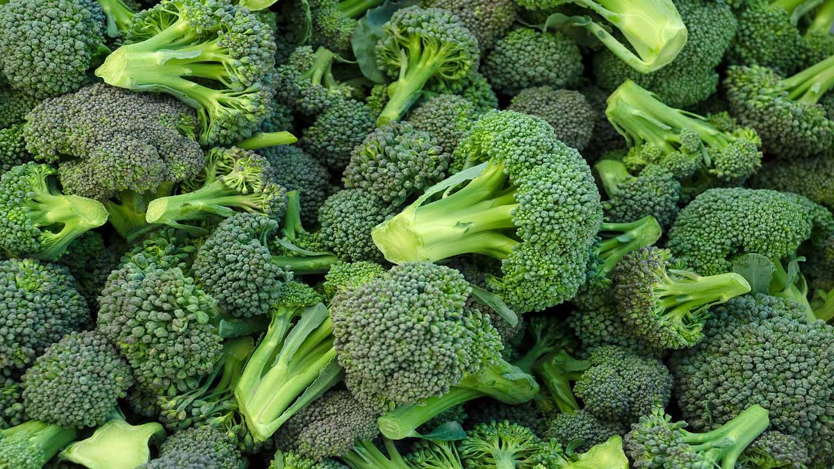 10 reasons to consume more broccoli