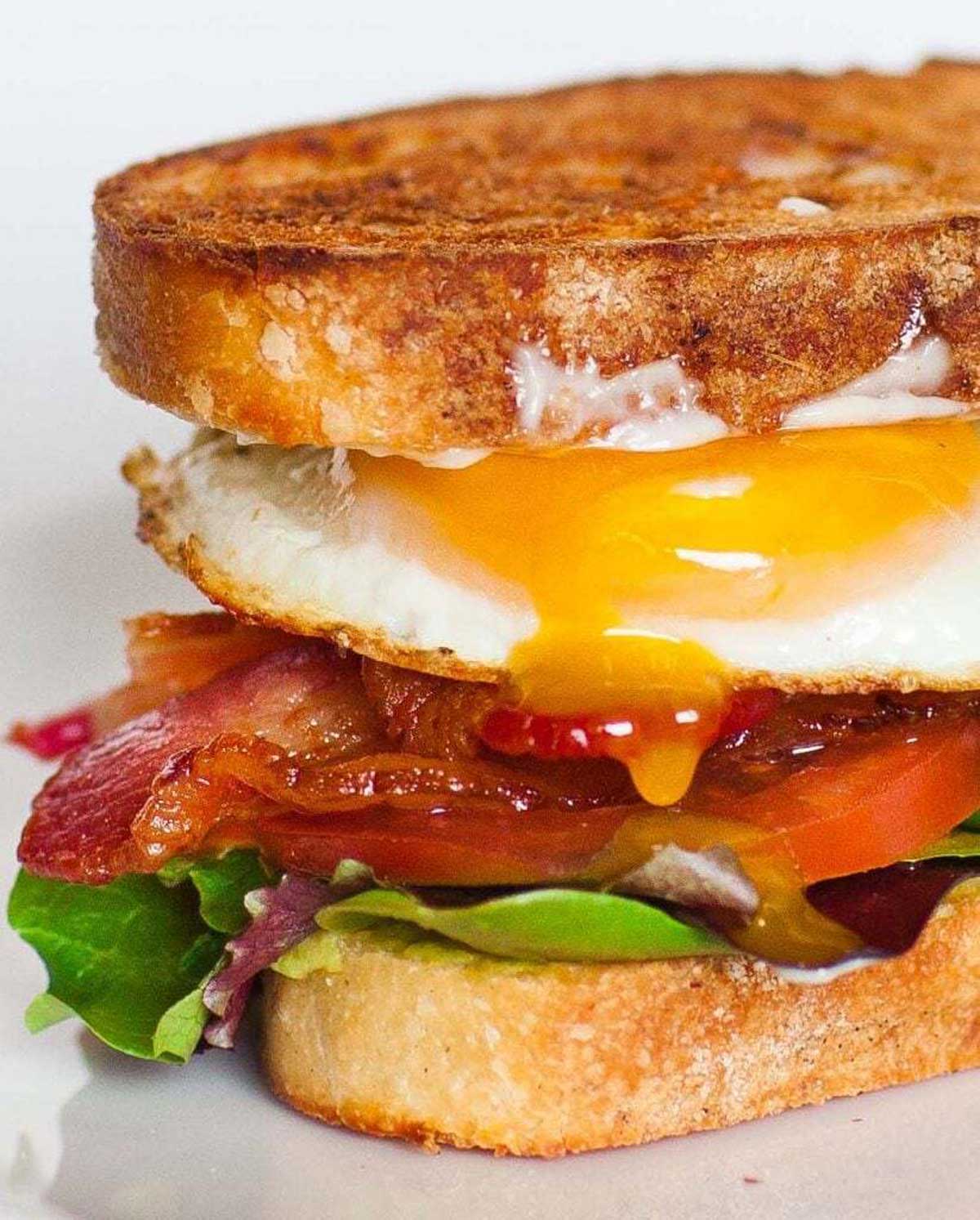 15 Best Sandwich Recipes Easy way to make sandwiches for breakfast