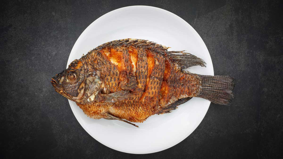 5 amazing benefits of eating Fish!